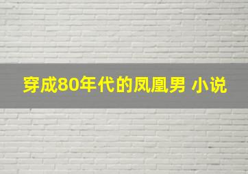 穿成80年代的凤凰男 小说